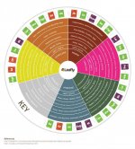 jXSS0pS1Sw2p2eq176GL_Leafly-Cannabis-Terpene-Wheel-Infographic.jpg