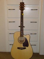 ibanez acoustic.jpg