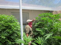 7-1-2011 greenhouse inspection 012.jpg