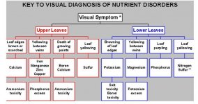 leaf_trouble_chart.JPG