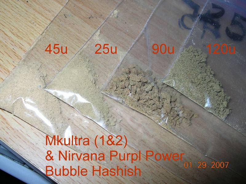 100781-29-07_Bubble_hash_runs.jpg