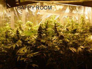 1108SCHROM_CLONE_ROOM_FULL_OF_LOVE_009-thumb.JPG