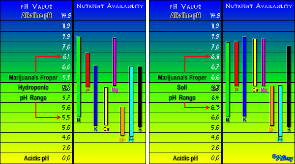 11908Nutrient_Chart.gif