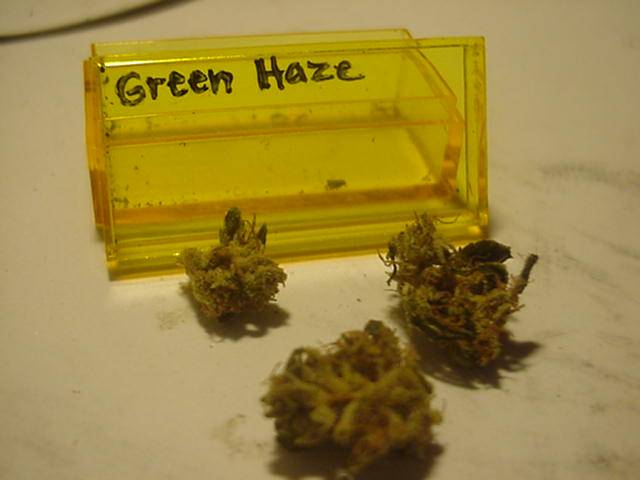 1541green_haze-med.JPG