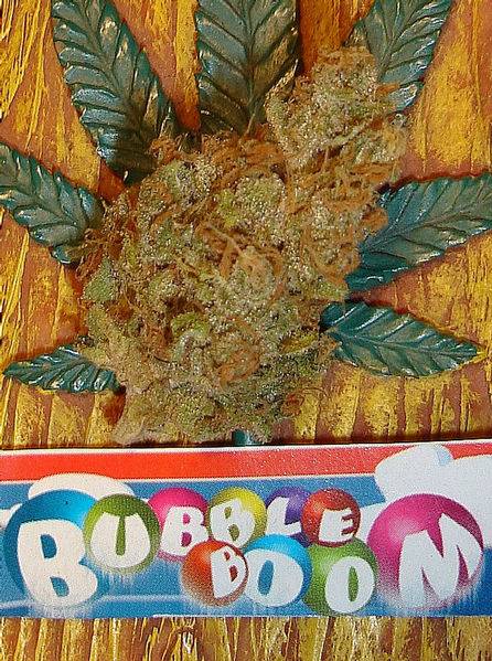 15442G-Bolt_killer_buds-med.JPG