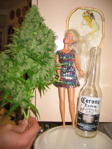 1706Barbie_Bud-med.jpg