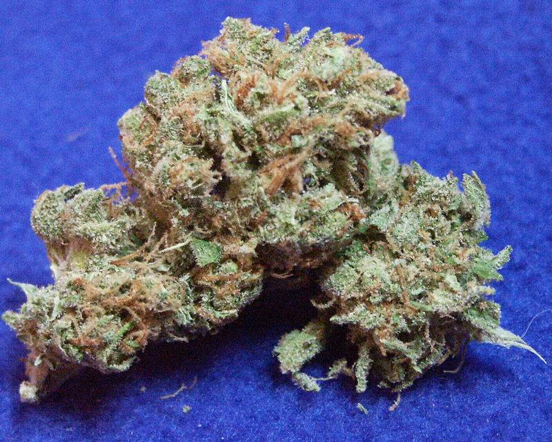 20370super-silver-haze-helpinghands2.jpg