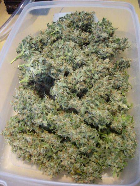 2076harvest_ak1_2-med.jpg