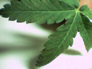 22409Aug12_29.JPG