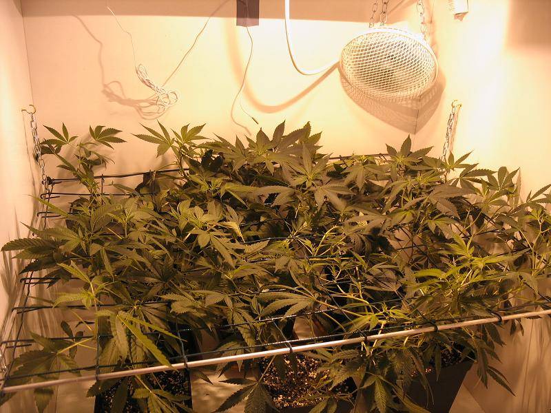 23447hps-room.JPG