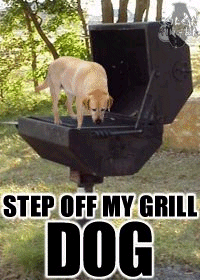 5538grilldog.gif