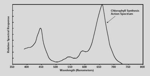 63100spectrum-med.jpg