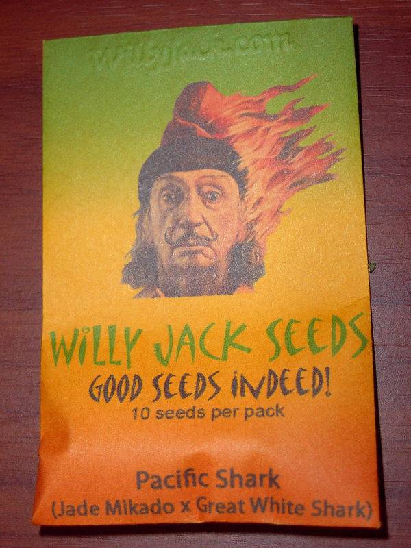 7622Pacific_Shark_seeds.jpg