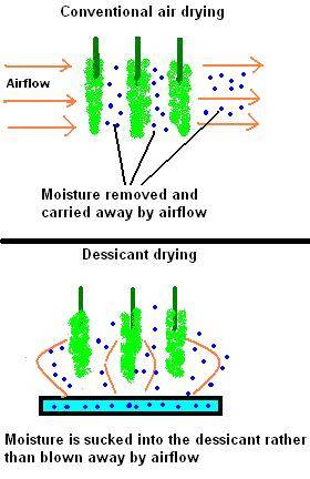 7710Air_drying_vs_Dessicant_drying.JPG