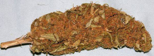 798Sweet_Kush_Cured-med.jpg