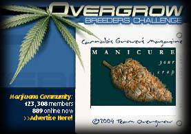 8171breeders_overgrow.jpg