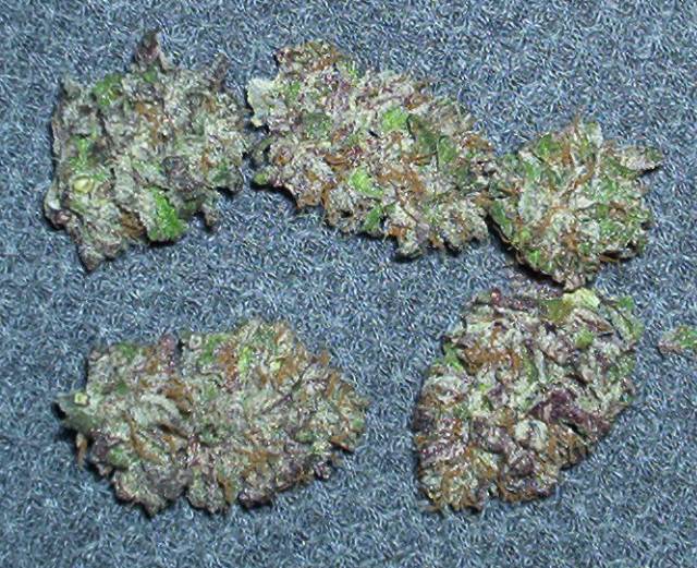 9597593cripplecreek_driednugs.jpg