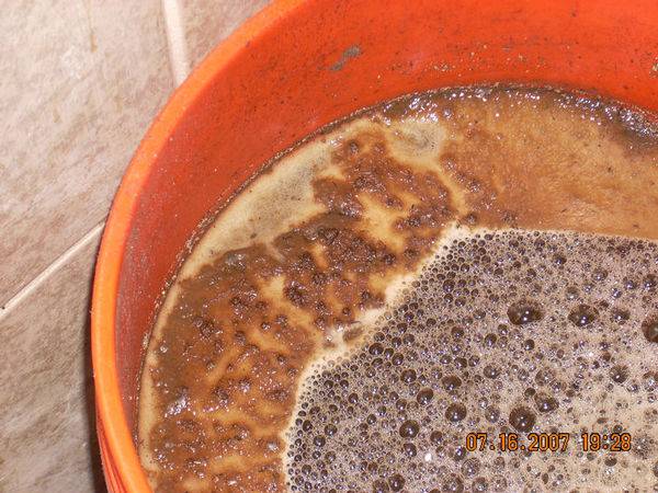 960907-16-07_fungal_tea_003-med.jpg