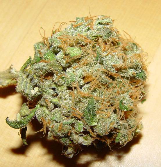 9Buds3.jpg