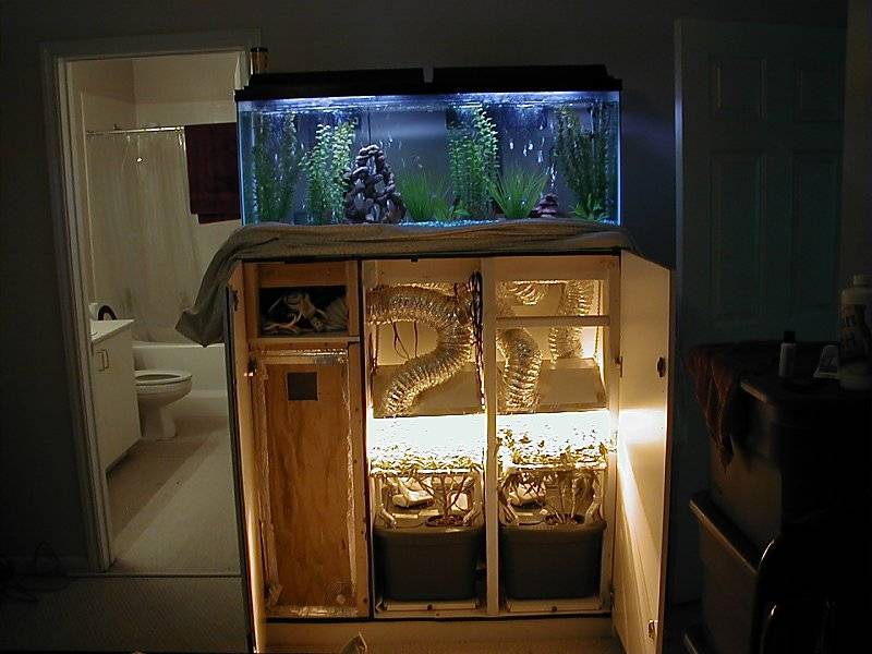 Very Stealth Fishtank Wardrobe Cabinet Growroom Designs